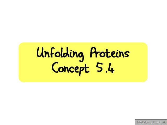 Unfolding_Proteins._Concept_5.4