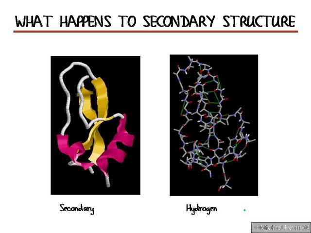 What_Happens_to_Secondary_Structure