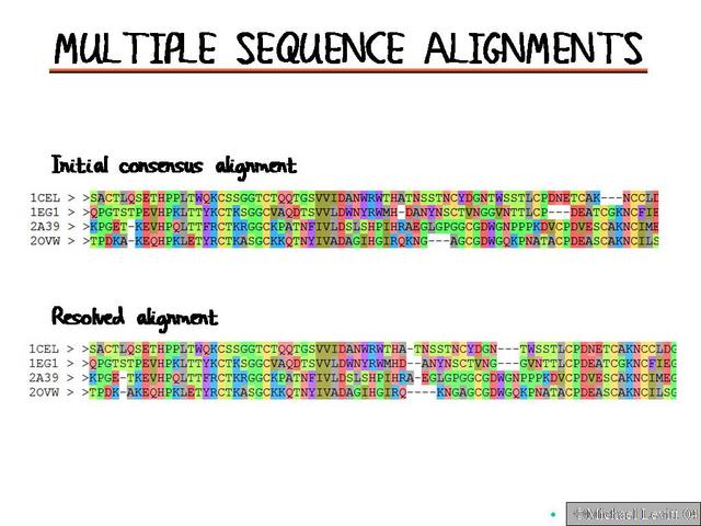 Multiple_Sequence_Alignments