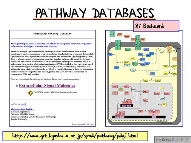 Pathway_Databases1