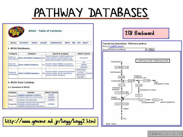 Pathway_Databases2