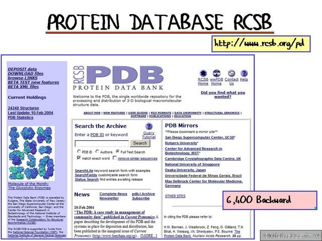 Protein_Database_RCSB