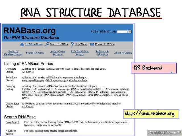 RNA_Structure_Database
