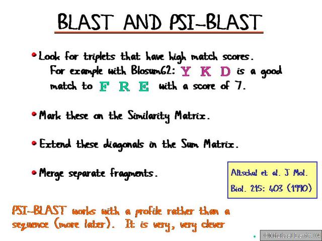 Blast_and_Psi-Blast