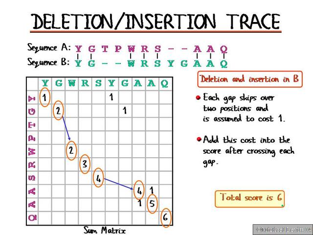 Deletion-Insertion_Trace