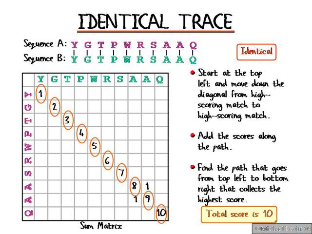 Identical_Trace