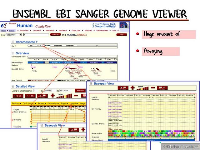 Ensembl_EBI_Sanger_Genome_Viewer2