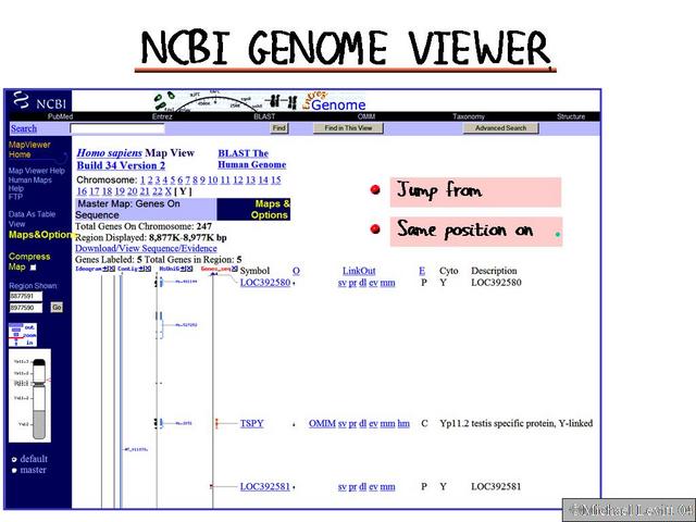 NCBI_Genome_Viewer1