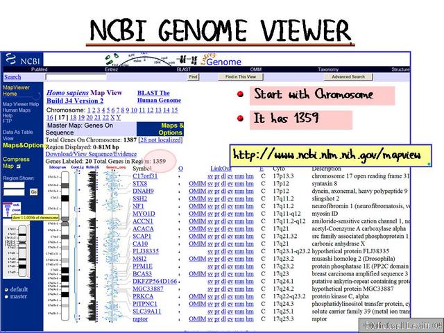 NCBI_Genome_Viewer2