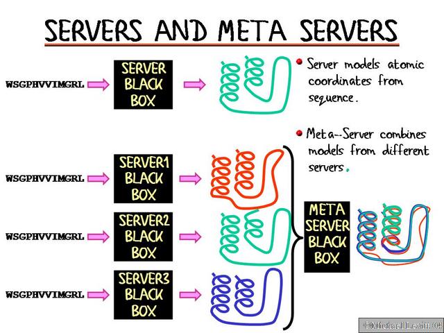 Servers_and_Meta_Servers