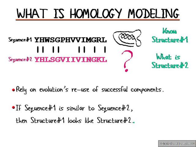What_is_Homology_Modeling