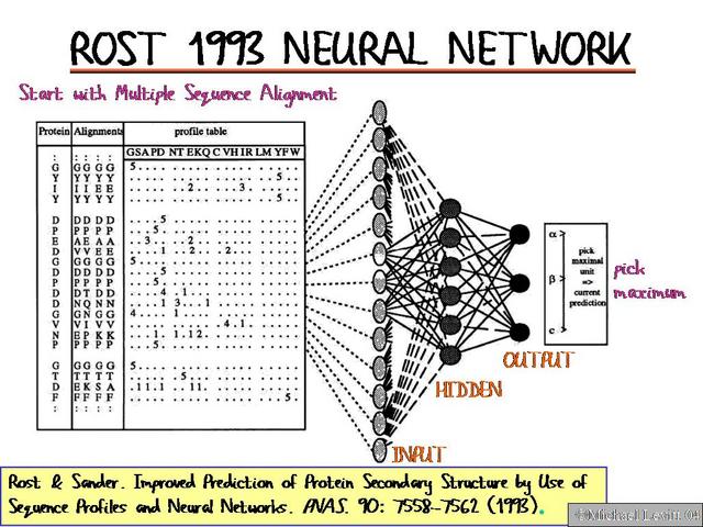 Rost_1993_Neural_Network
