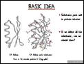 Basic Idea1