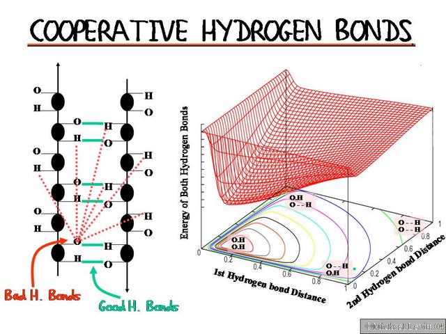 Cooperative_Hydrogen_Bonds1