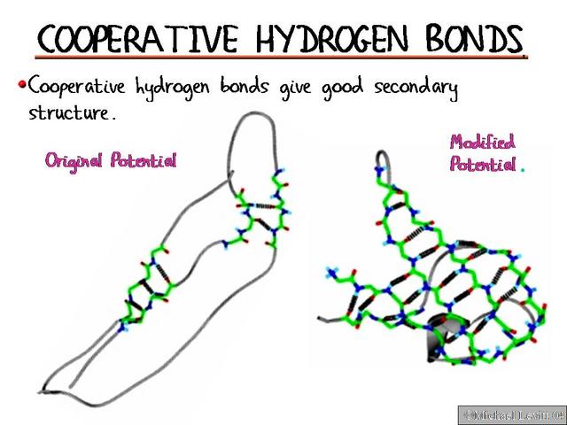 Cooperative_Hydrogen_Bonds2