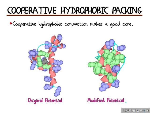 Cooperative_Hydrophobic_Packing