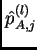 $ \hat p_{A,j}^{(l)}$