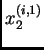 $ x^{(i,1)}_2$