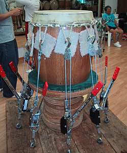 Skinning Stand with Taiko