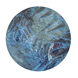 Gail Wight Blue Lunar Eclipse