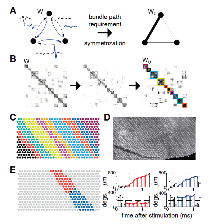 axon bundle detection algo v1