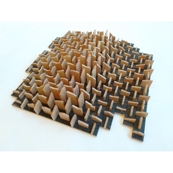 <i>Entwined Experience</i>. A sculpture consisting of about 200 kamaboko boards glued onto a sheet of plywood.